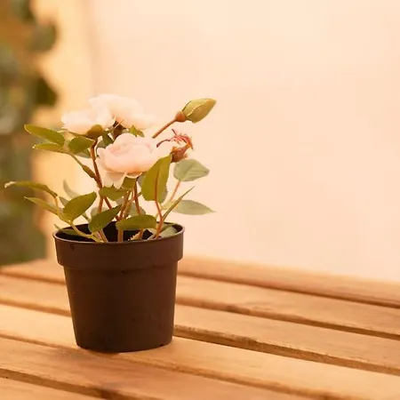 Trastazione & Policlinico 500mt Dal Centro Apartamento *