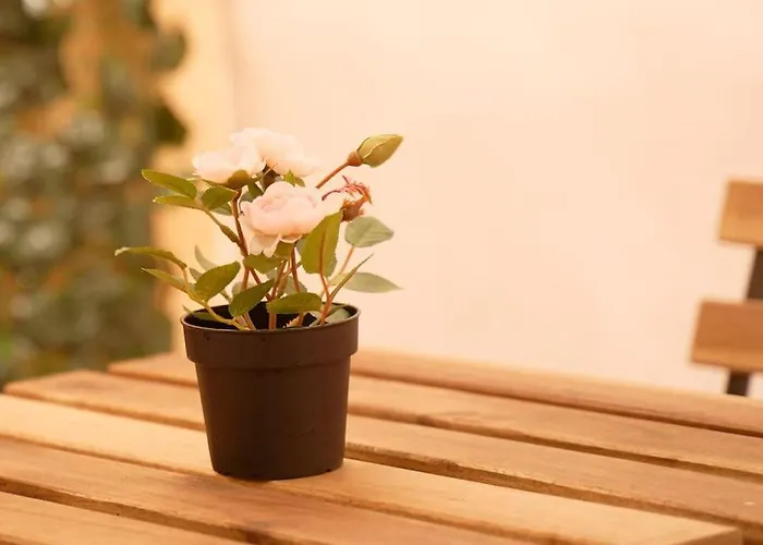 Trastazione & Policlinico 500mt Dal Centro Apartamento *